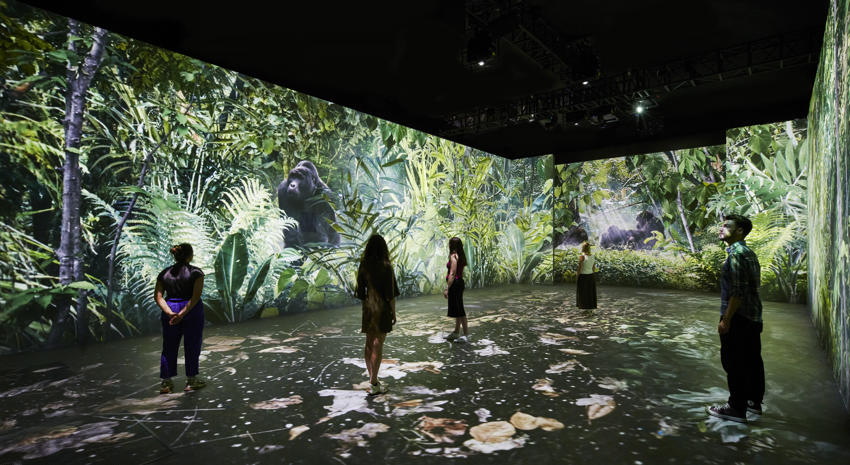 Our Story With David Attenborough 3 (C) Trustees Of The Natural History Museum