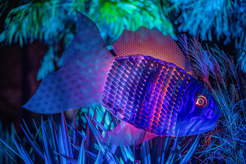 Lanterns25 10
