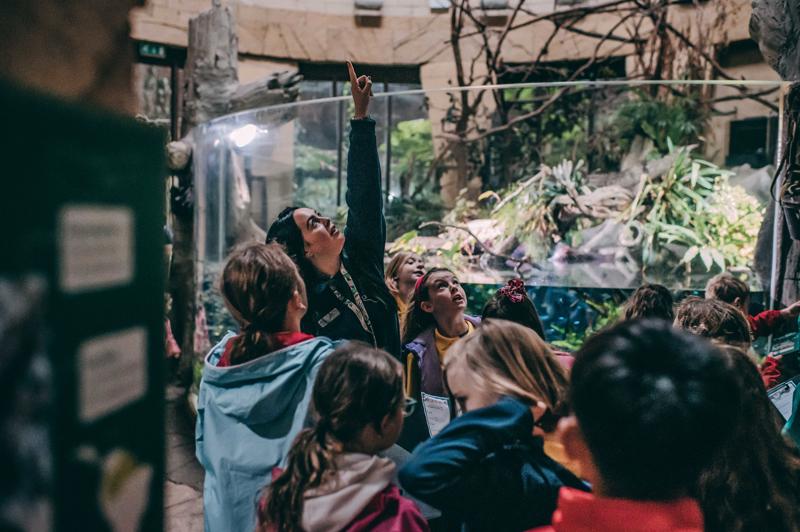 School Trip In Zoo