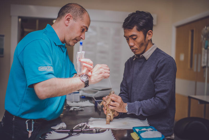 Chester Zoo Vets, Animal Health And Wellbeing, Science (4)