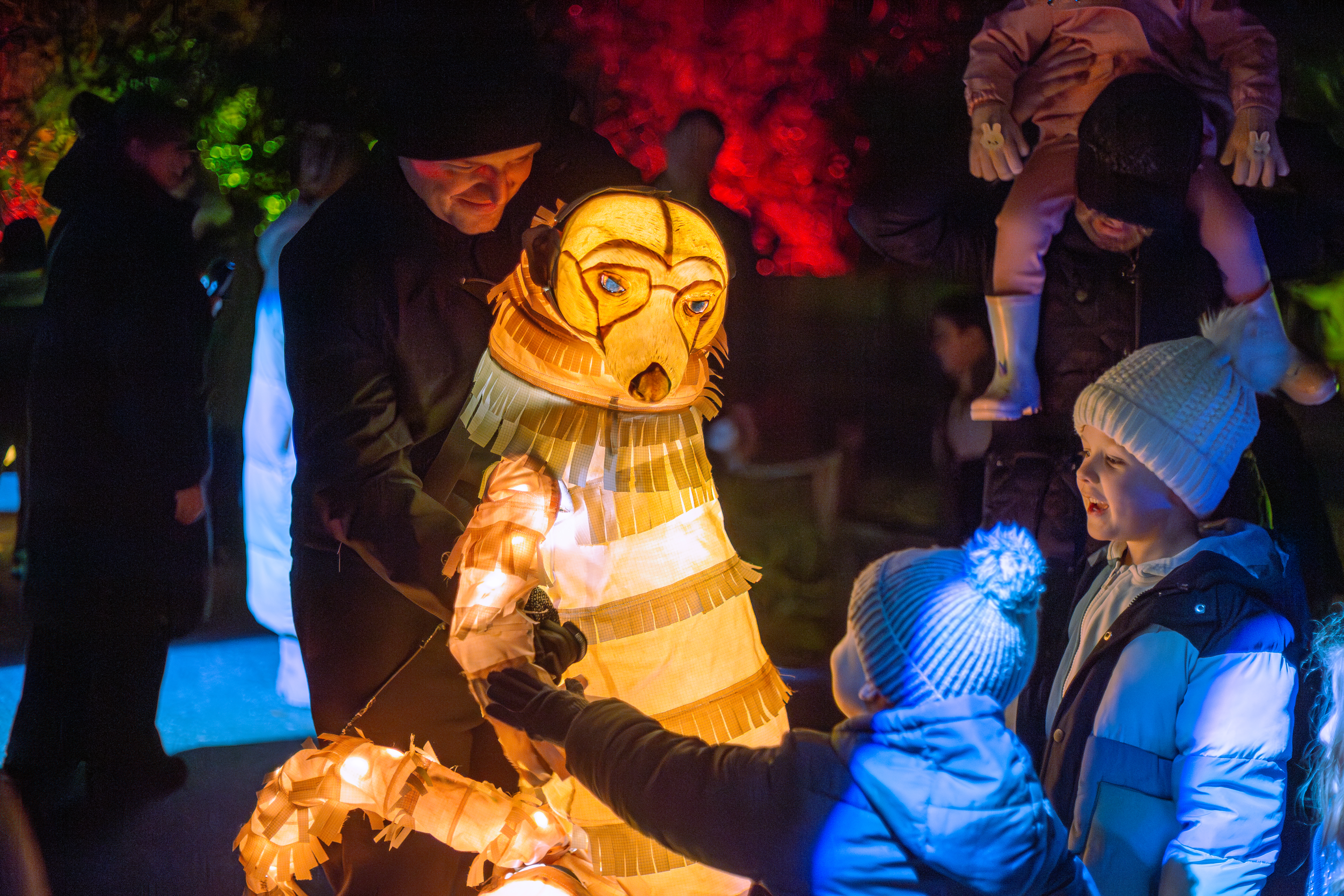 David Hughes Lanterns & Light 2025 007