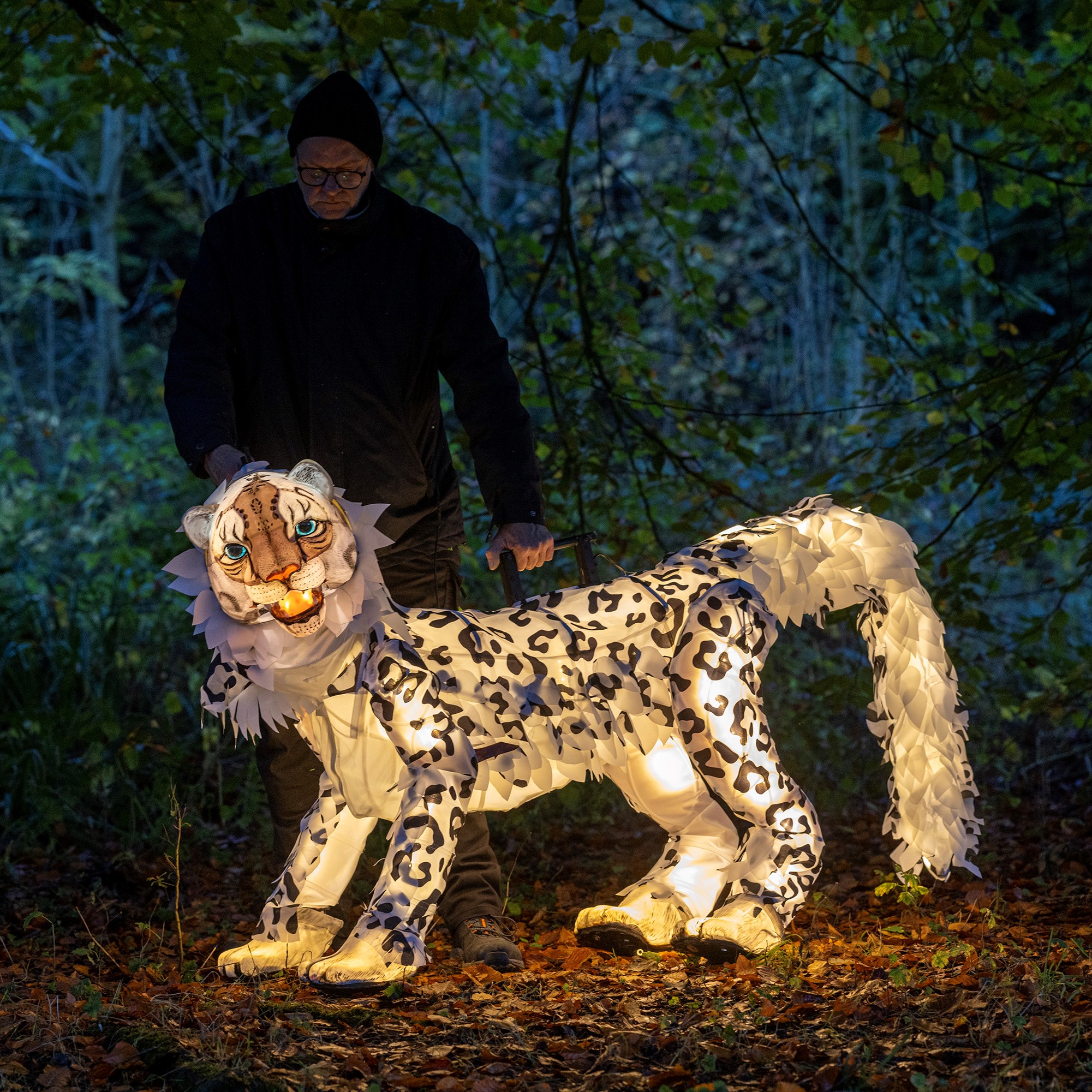 Snow Leopard Puppet Lanterns And Light 2024 2