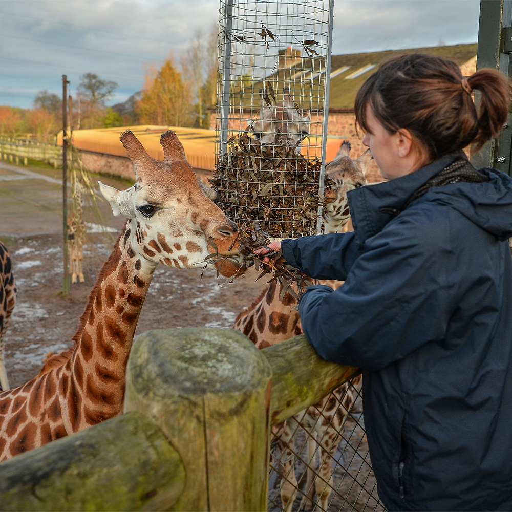 We're launching our first ever animal apprenticeship scheme!