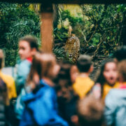 Children watching jaguar in zoo