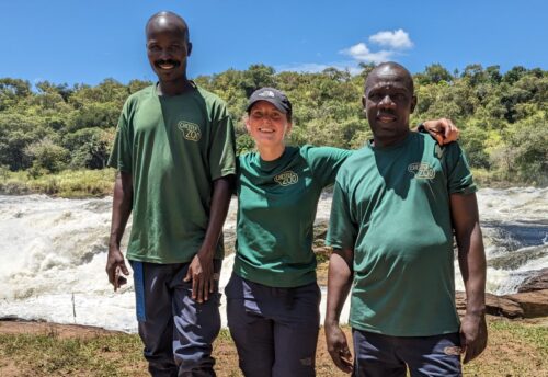 Giant pangolin Field Team