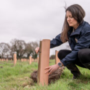 Jen inspecting new trees at new woodland site