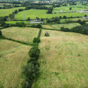 New CZ woodland after planting