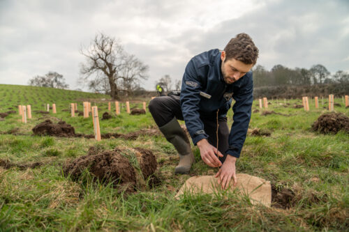 Andy planting tree at new woodland site