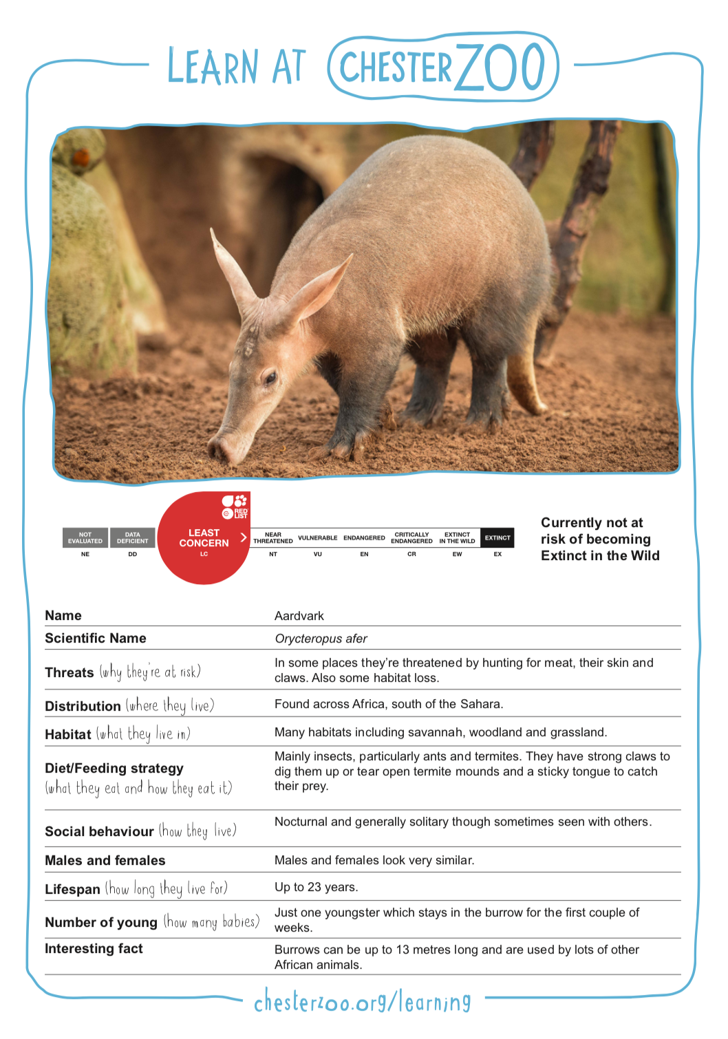 ANIMAL FACT FILE - Aardvark - Schools