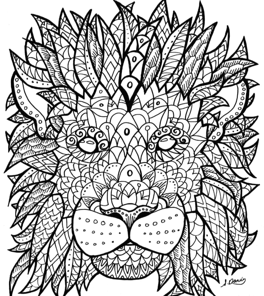 Colouring Sheet - Asiatic Lion - Schools