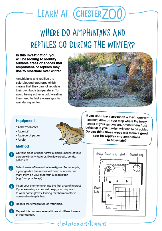 Where do amphibians and reptiles go in winter? - Schools