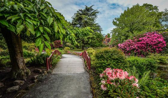 Rock Garden 1