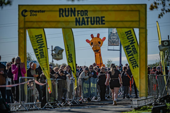 Zoorun 77